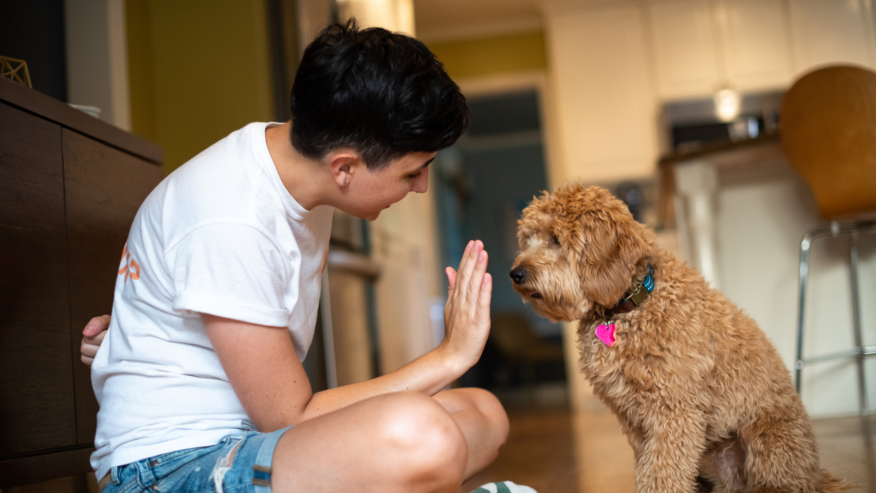Essential Guide to Puppy Obedience Training: Mastering the Sit, Stay, and Come Commands
