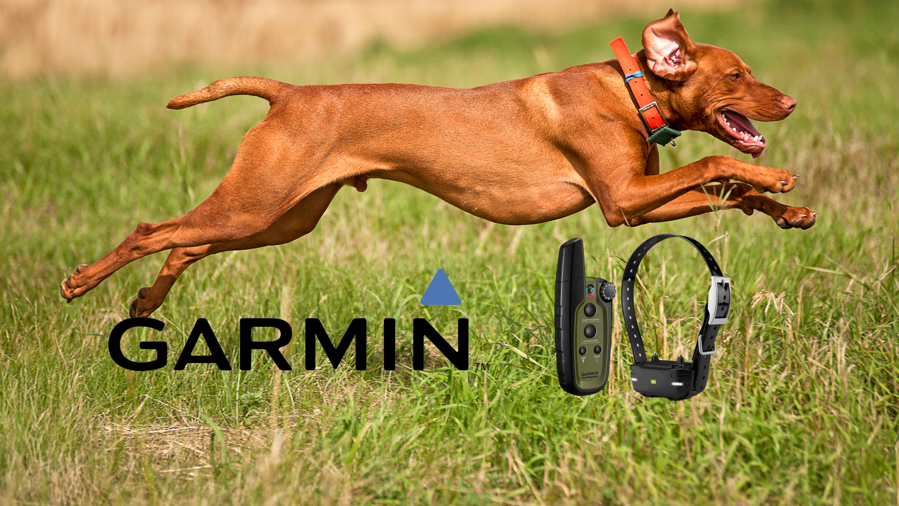 7 Amazing Benefits of the Garmin Dog E Collar You Didn't Know About!