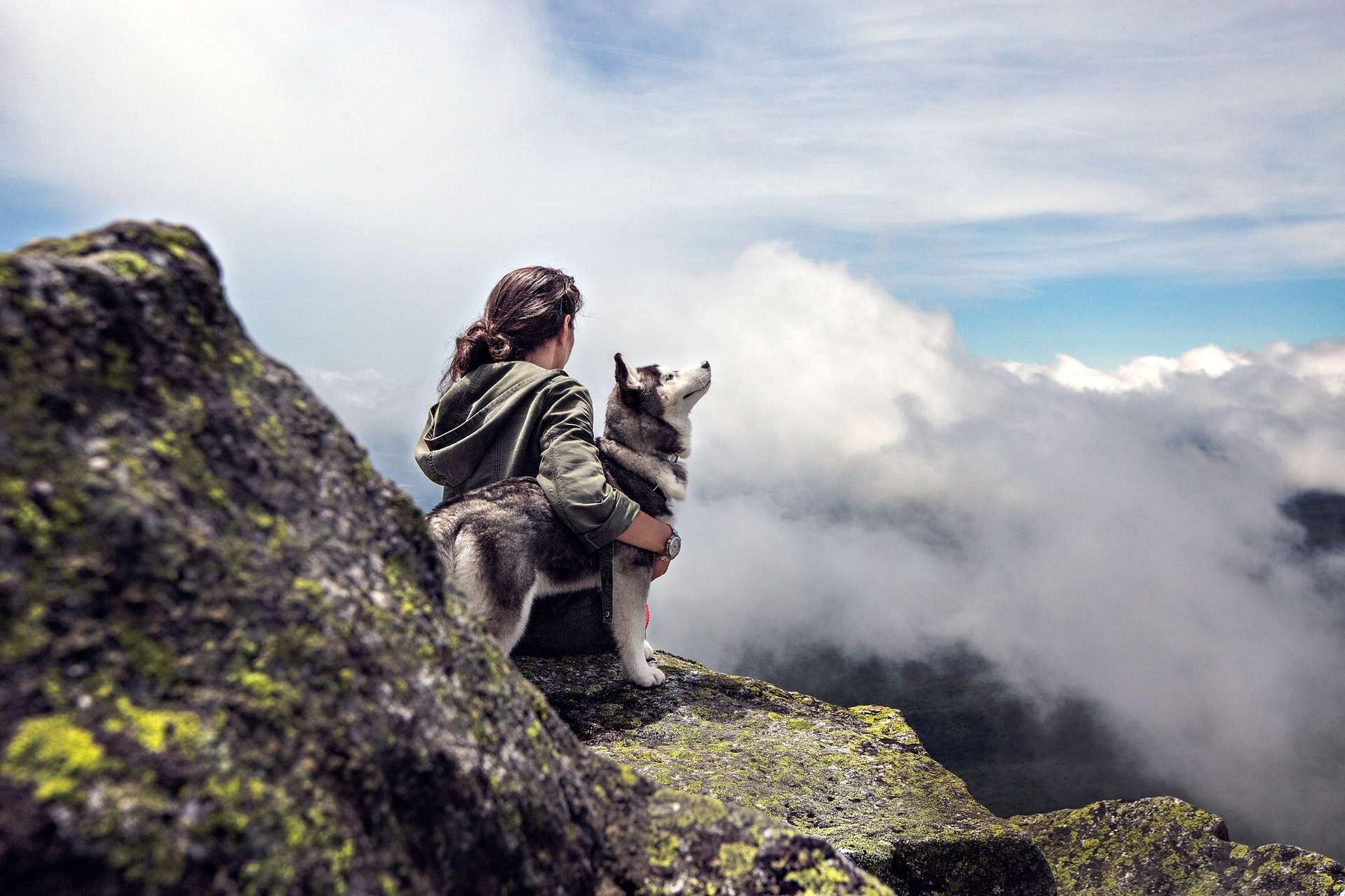 Woman Holding A Husky On Top Of A Mountain