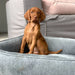 Bowsers Urban Lounger Dog Bed - Diamond Collection