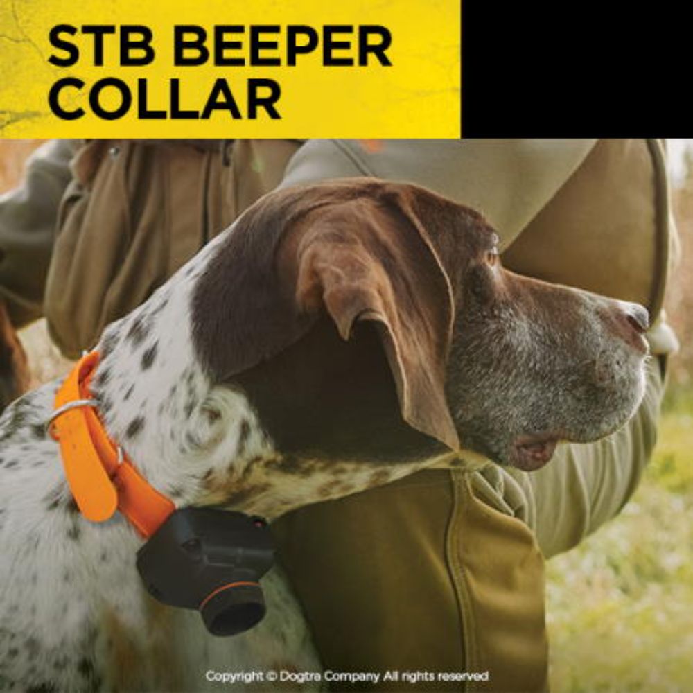 Dogtra STB Beeper Dog Shock Collar