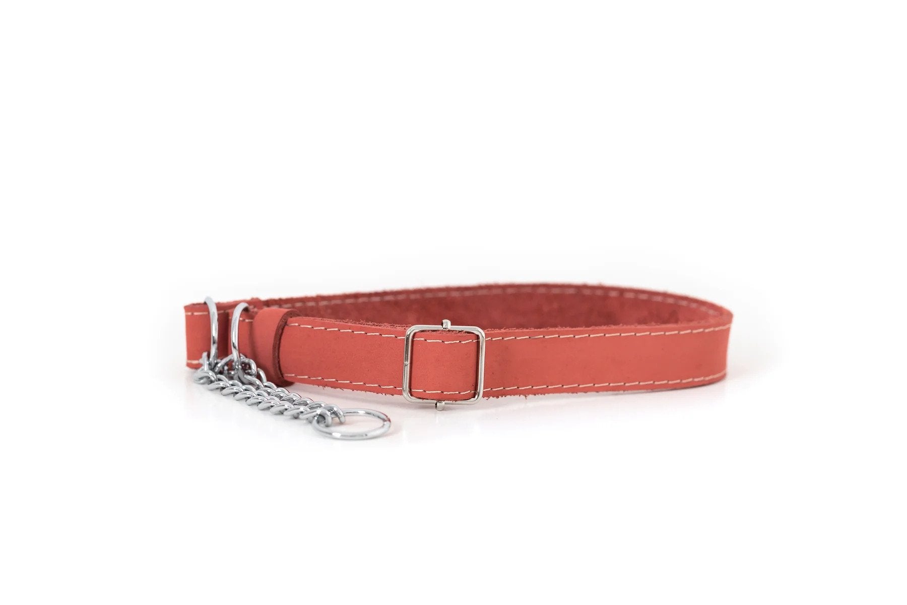 Eurodog Collars Martingale Leather Dog Collar