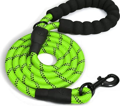 My Doggy Tales Braided Rope Dog Leash Lime
