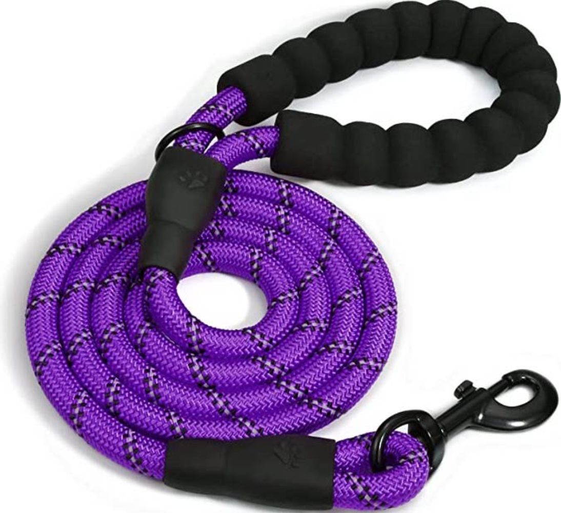 My Doggy Tales Braided Rope Dog Leash Purple