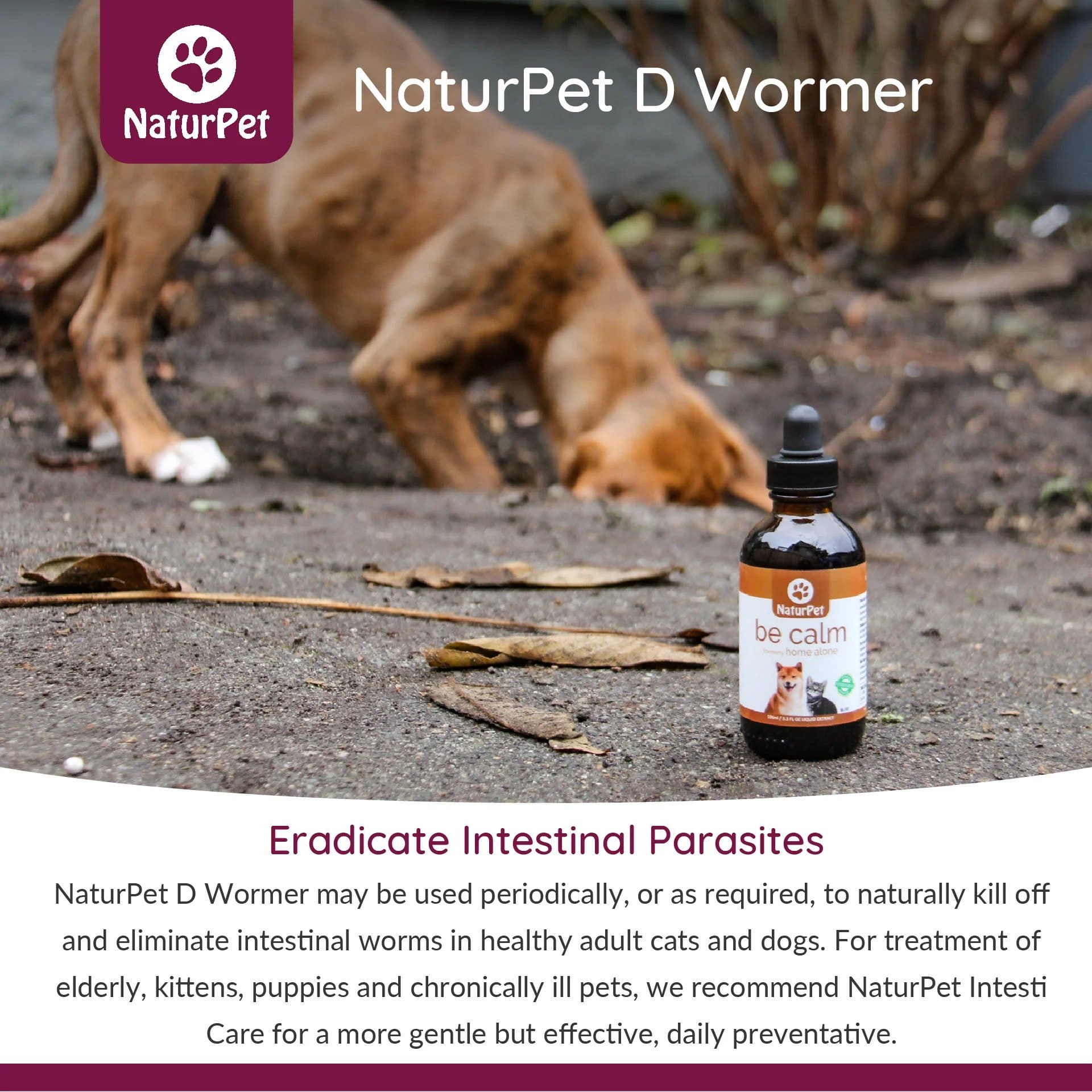 NaturPet D Wormer - All Natural Deworming for Cats and Dogs How to use