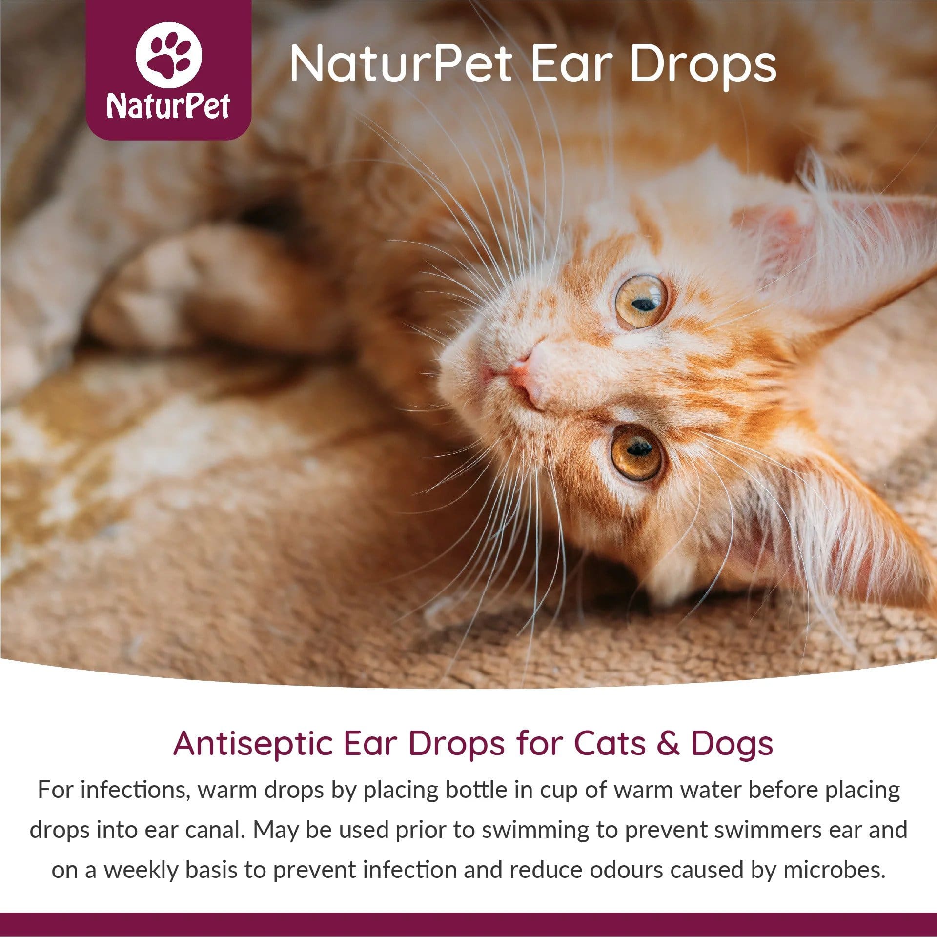 Nature Pet Store Ear Drops - For Cleaning & Swimming Protection