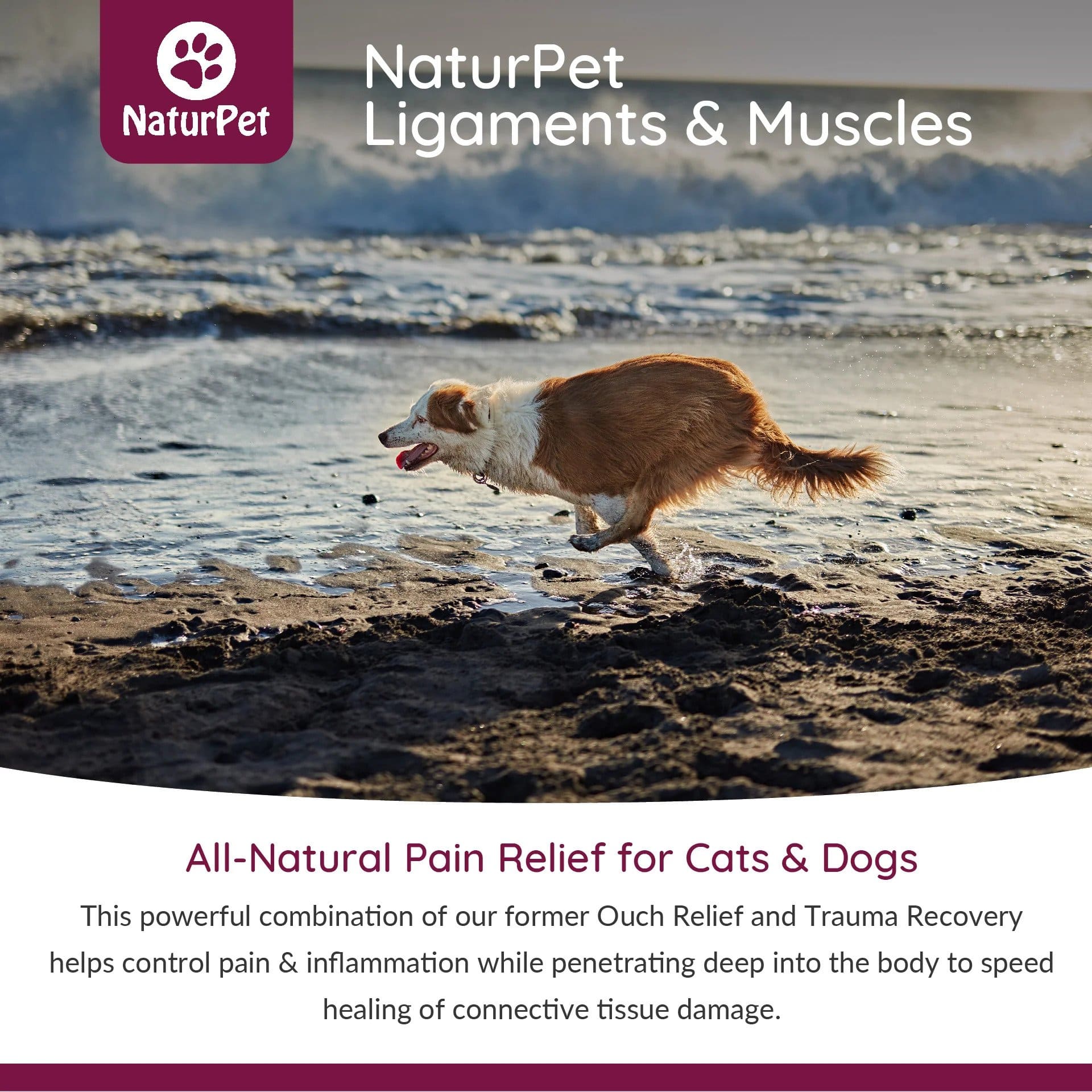 NaturPet Ligaments & Muscles - Soft Tissue Support How to use