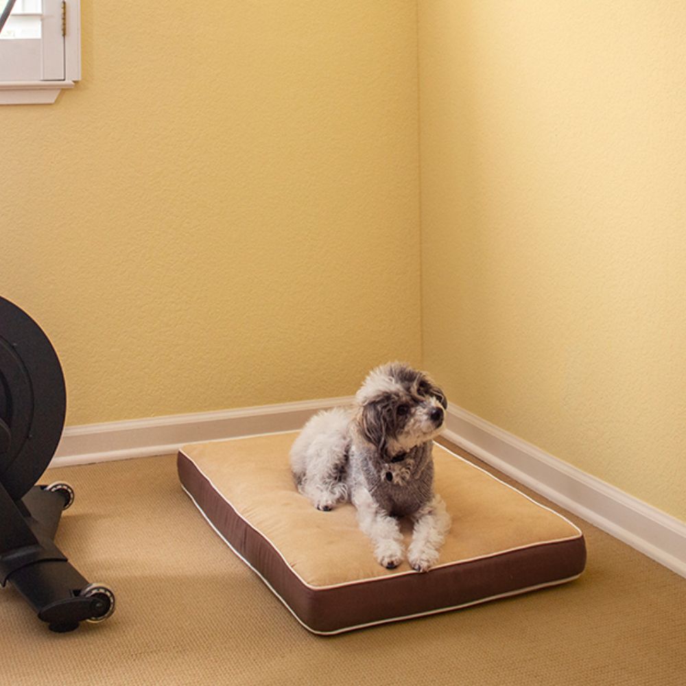 New Age Pet InnPlace Dog Cushion Pet Beds