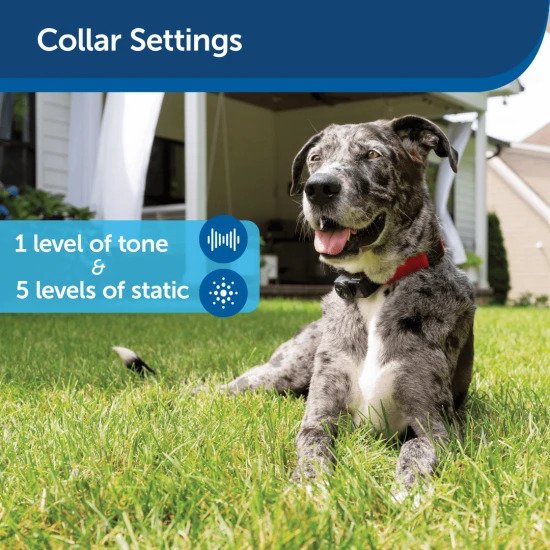 PetSafe In-Ground Stubborn Dog Fence Collar Setting