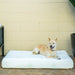 Petique Bamboo Memory Foam Pet Bed Comfortable Dog Beds