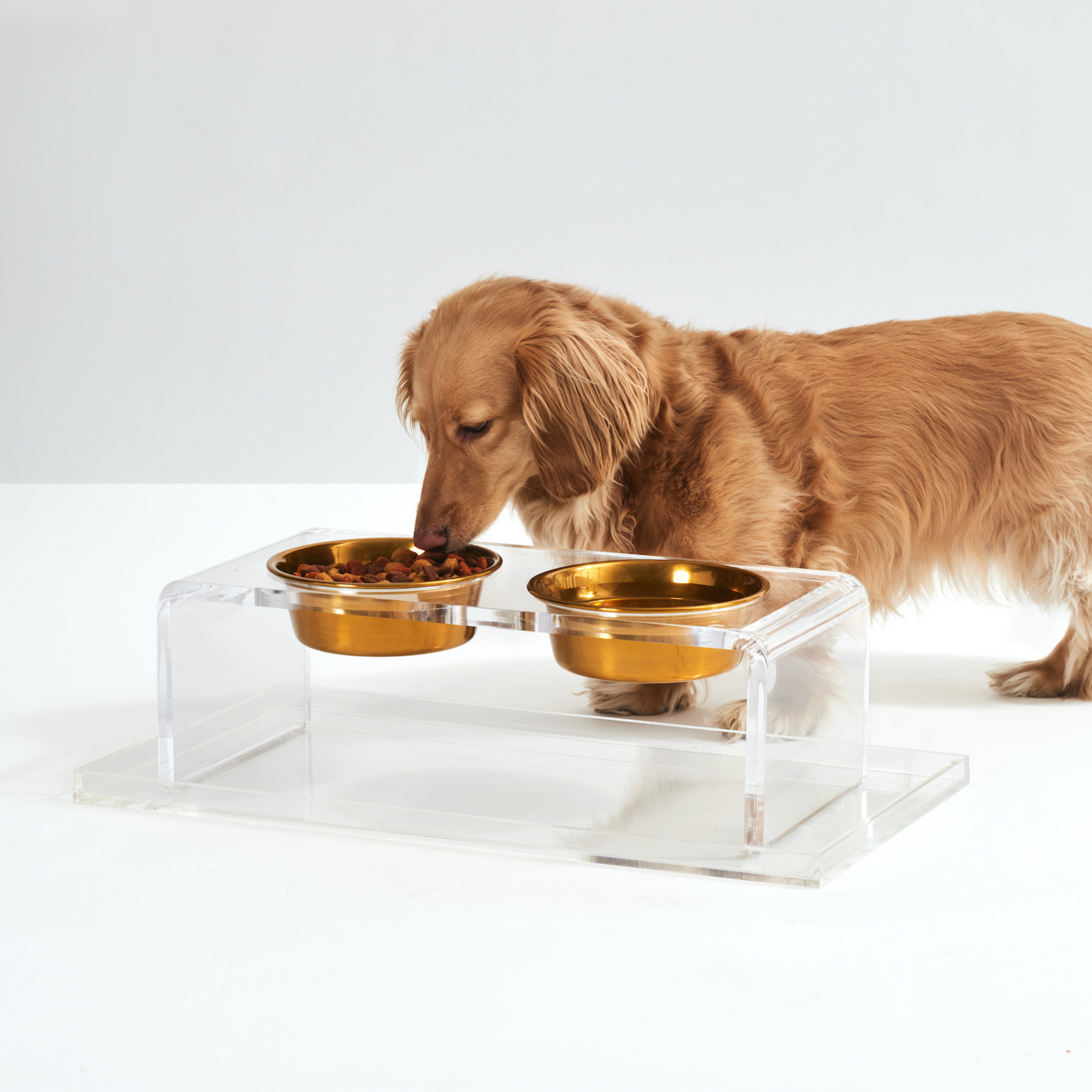 Hiddin Small Clear Double Dog Bowl Feeder With Silver Bowls