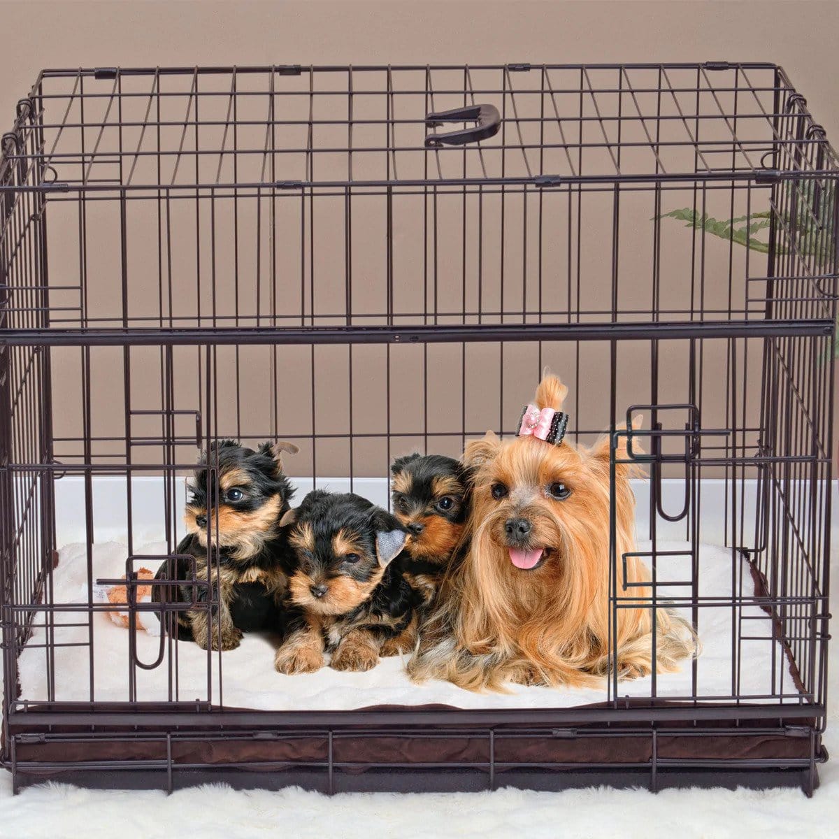 Lucky Dog® Dwell Series™  Rust Resistant Dog Crate with Sliding Side Door 24 size