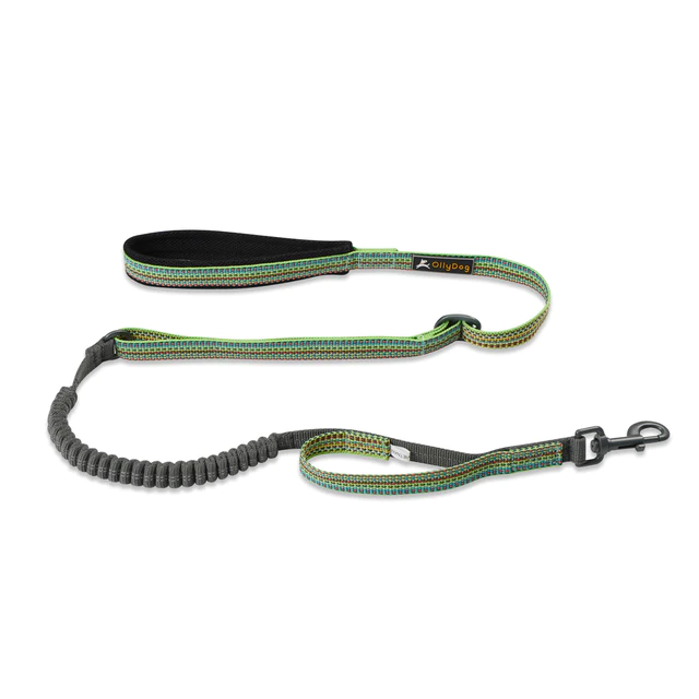 Olly Dog Adjustable Spring Leash Rescue Prism Green