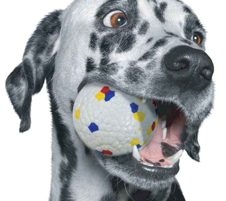 Rethink Pet Indestructo Ball Dog Toy