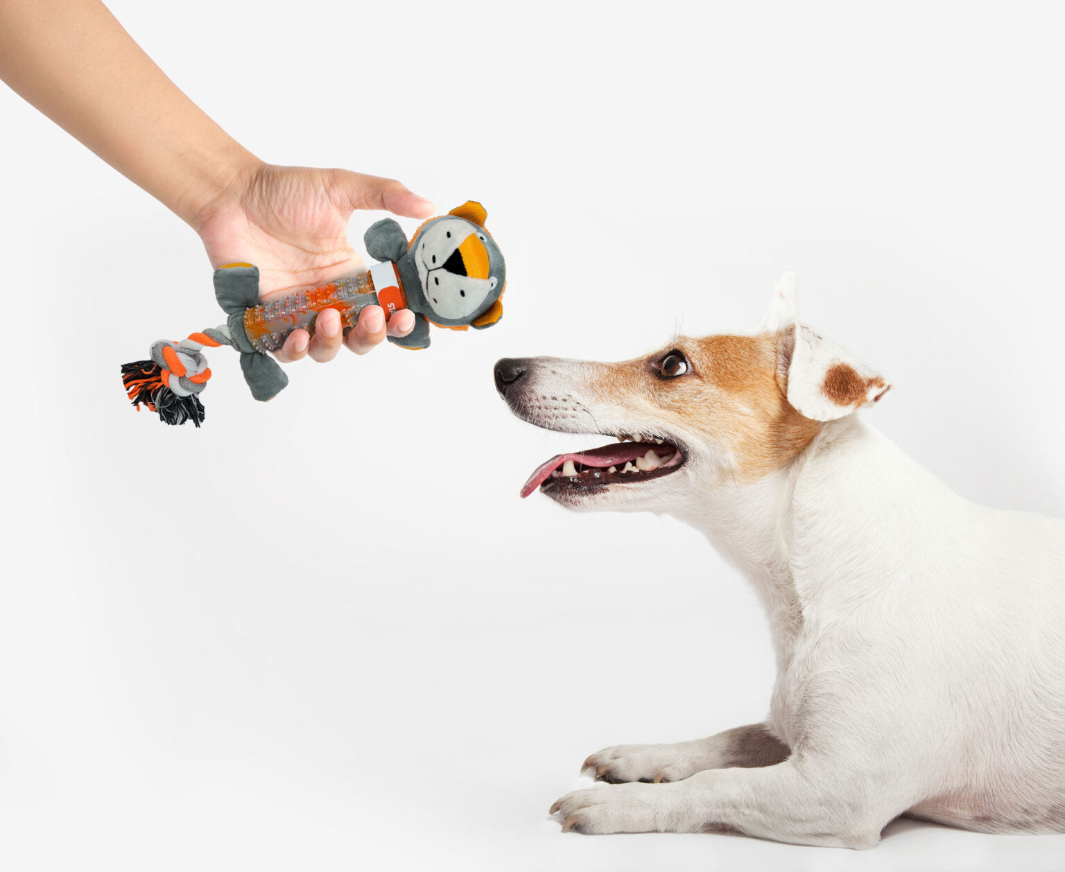 Rethink Pet Play Pal Dog Toy