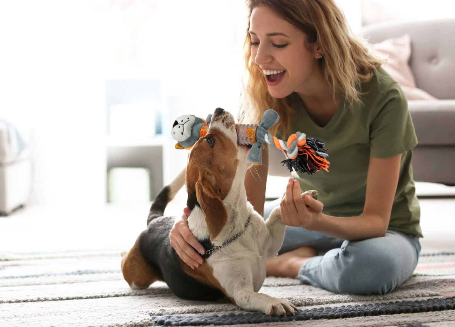 Rethink Pet Play Pal Dog Toy