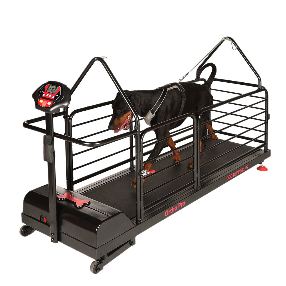 Premium Maximum Canine Dog Runner Treadmill - Puppy Fever Pro