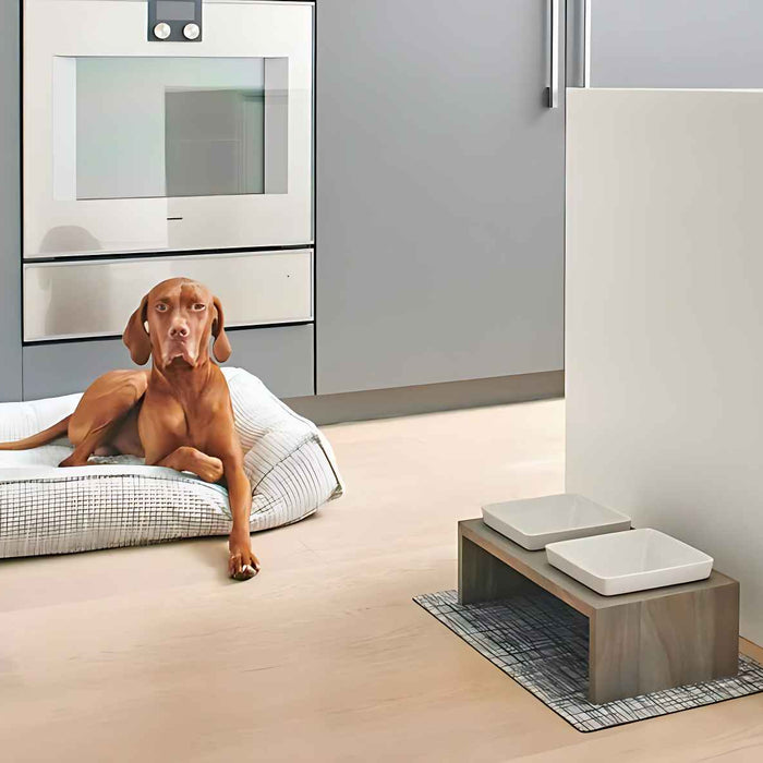 A brown dog is lying on a white cushioned bed in a modern kitchen, showing why people ask How Many Dog Beds Should a Dog Have for comfort in different rooms