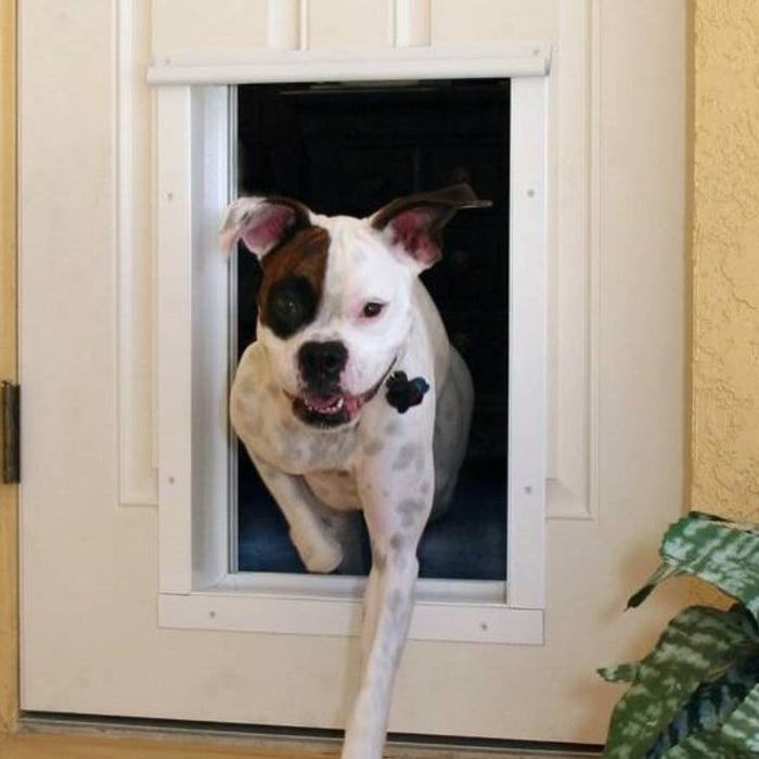 A dog exits through a PlexiDor Electronic Pet Door installed in a white exterior wall, exemplifying how to install dog doors in a door