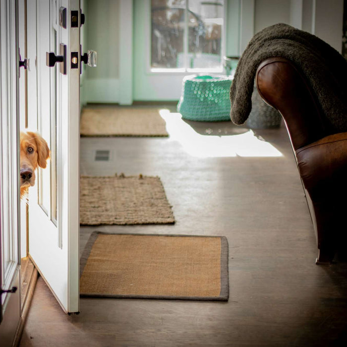 A golden retriever peeks through a cracked door, illustrating Can Dog Open Doors with a curious and cautious expression