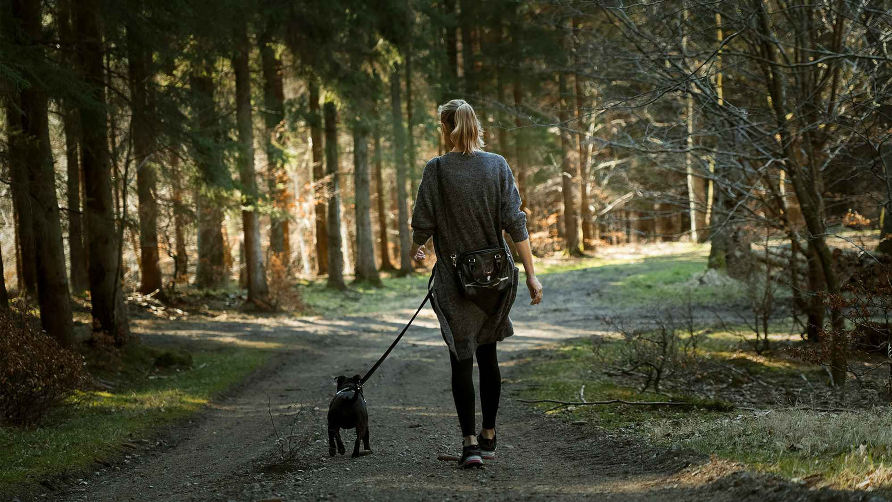 A woman walks calmly with her small dog on a dirt trail through a quiet forest, perfectly illustrating How to Train Your Dog to Walk Beside You