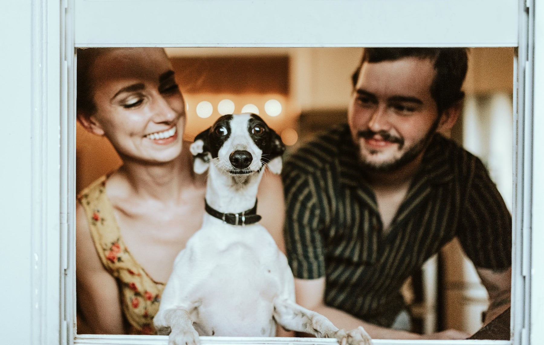 Black And White Dog With Man And Woman