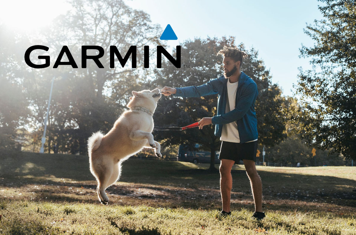 Guide to the Best Garmin Dog Training Collar Puppy Fever Pro