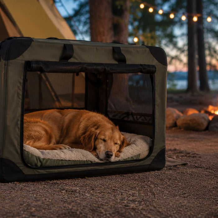 Golden retriever sleeps inside a soft portable dog crate at a peaceful campsite beside a tent and campfire at dusk