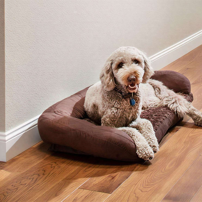 Light-colored dog relaxes on a brown compact dog bed placed neatly along a hallway wall with hardwood floors