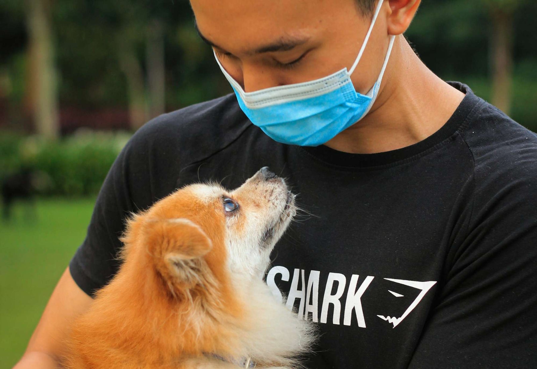Masked person holds a small dog gazing up at them closely, reflecting the bond behind the question can your dog read your mind