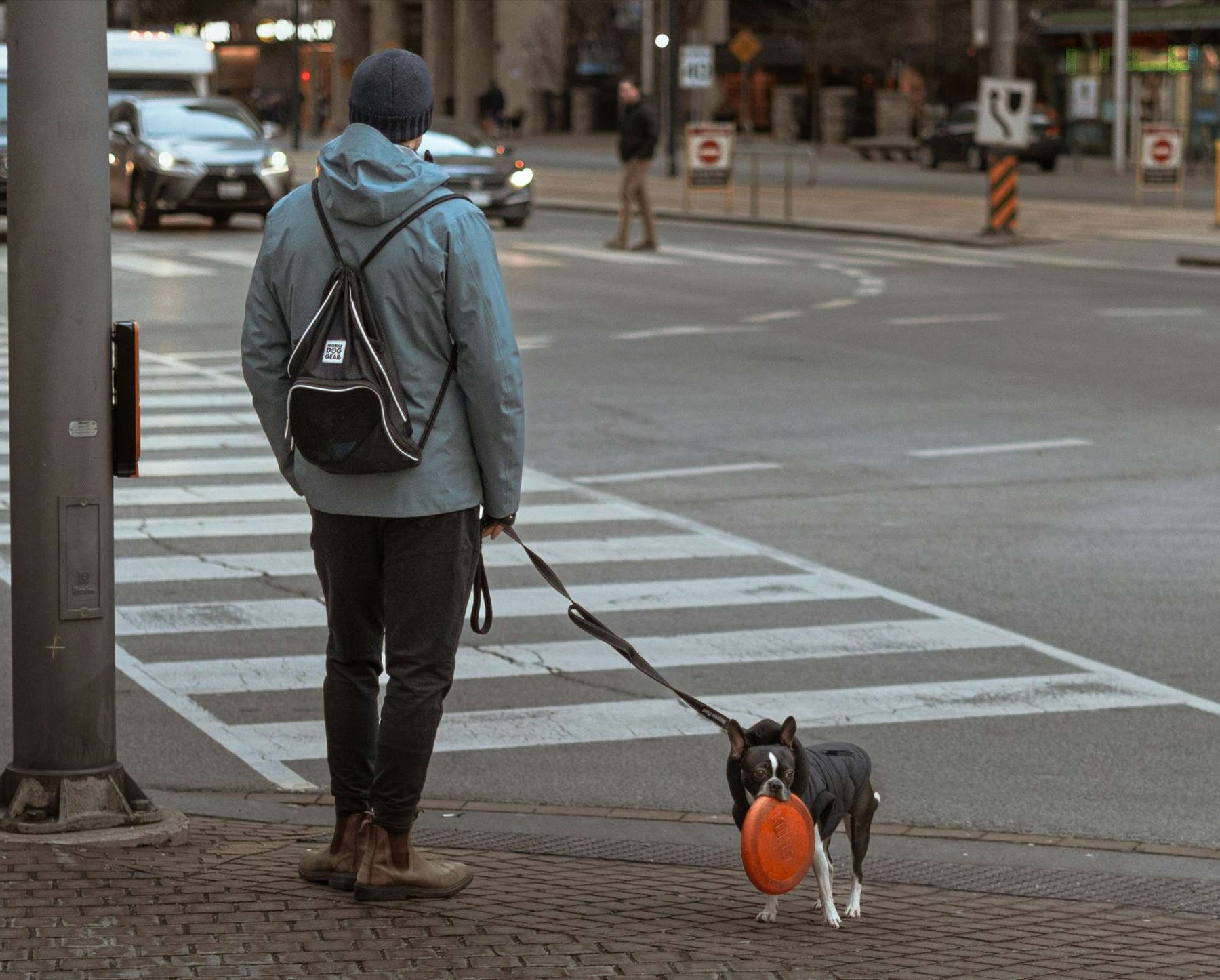 Person walks their dog with a frisbee at a city crosswalk, showing how walking your dog strengthens your emotional bond
