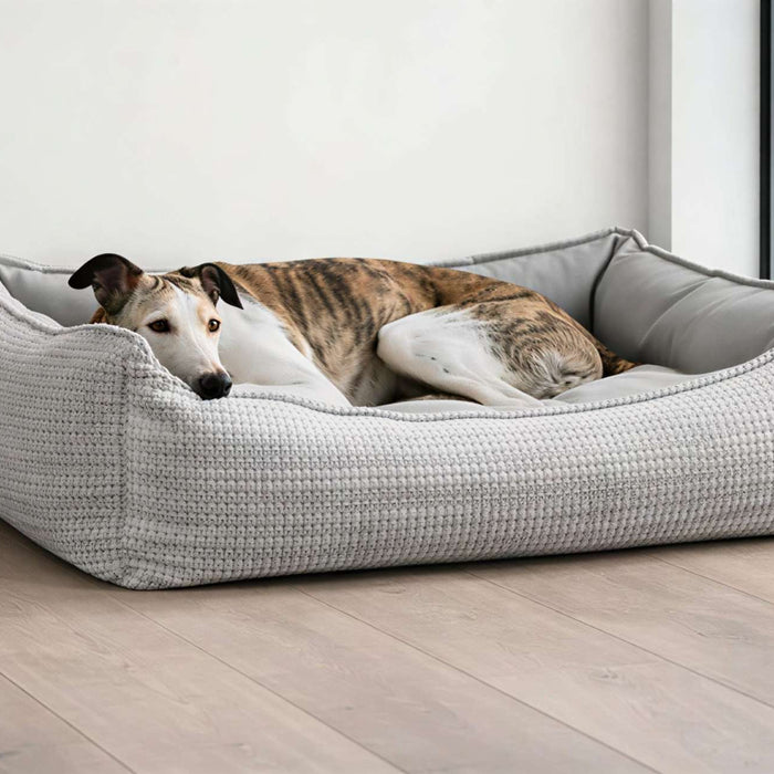 Puppy dog bed training scene showing a slender dog resting comfortably in a light gray cushioned dog bed beside a bright window in a modern room