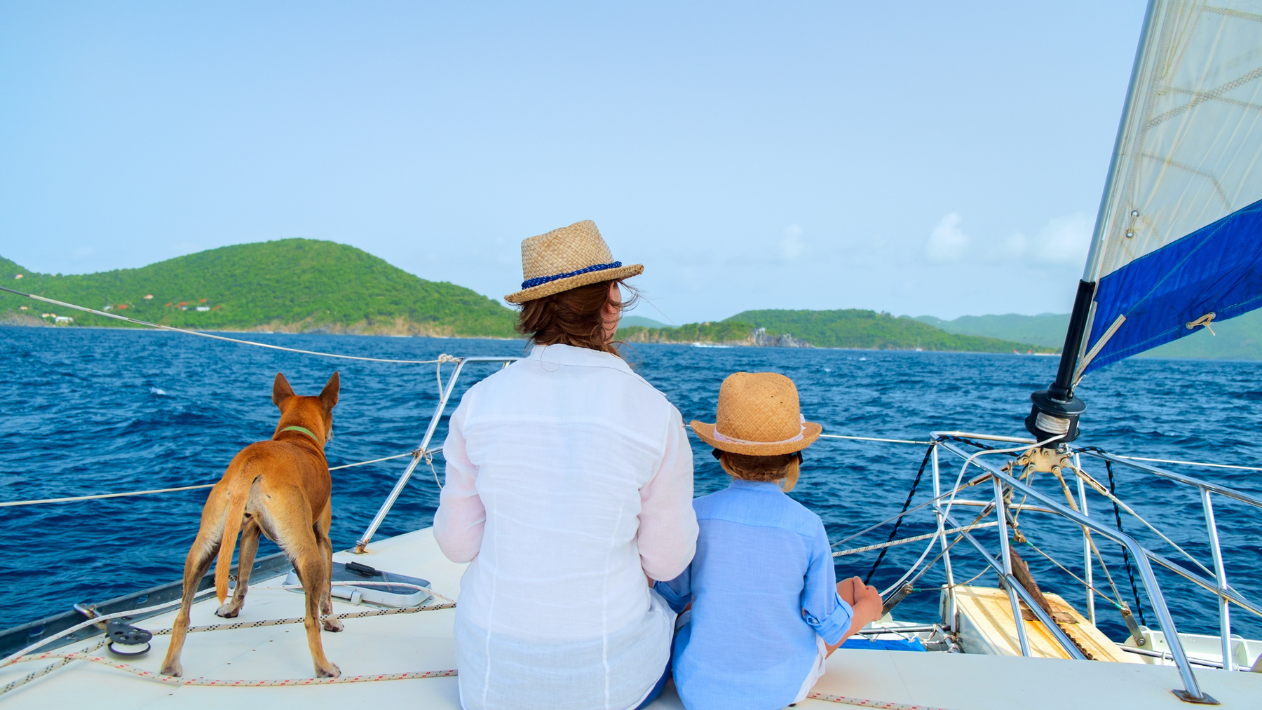 Guide to Safe Boating with Dogs: Ensuring Your Pet's Comfort & Safety on a Boat