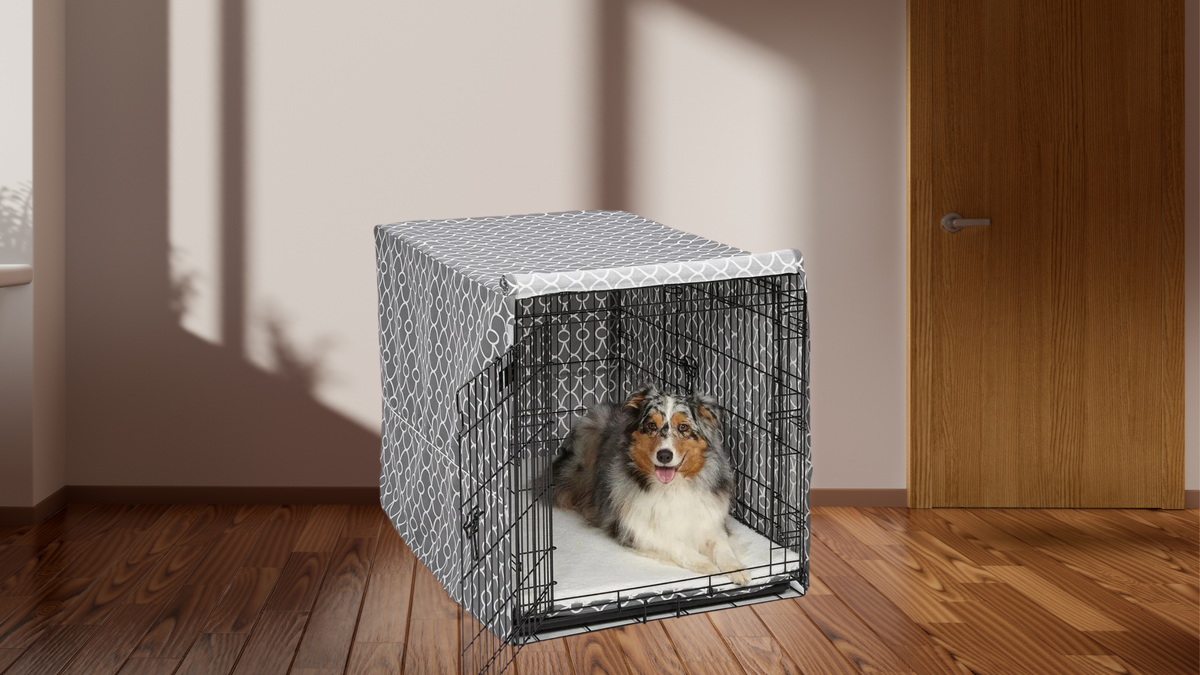 Best Wire Dog Crates for Separation Anxiety — Puppy Fever Pro