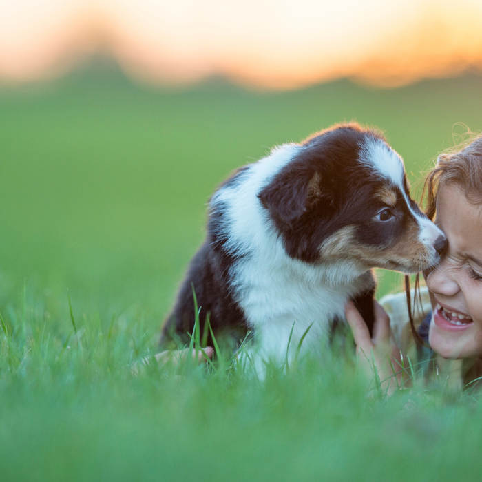 Building a Strong Bond with Your Puppy: Tips and Advice
