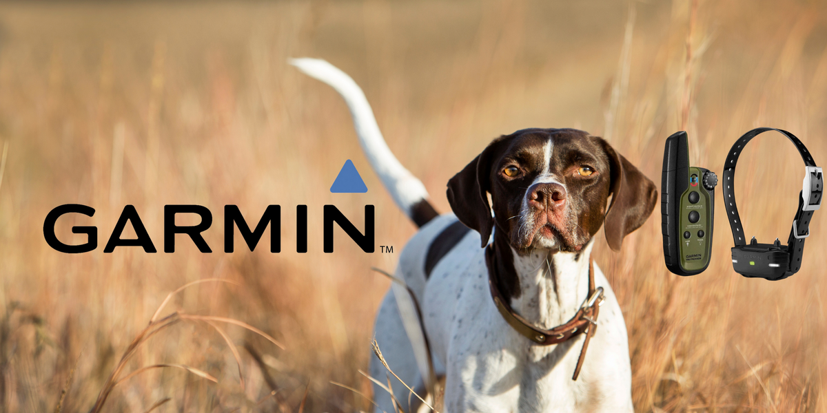 The Definitive Guide to Garmin Sport Pro Dog Collar Expert Insights