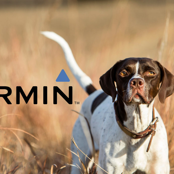 The Definitive Guide to Garmin Sport Pro Dog Collar: Expert Insights