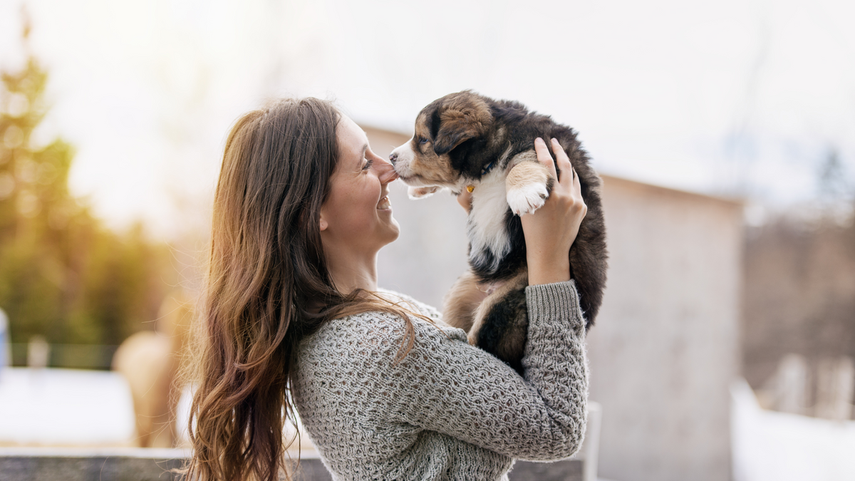 Ultimate Guide To Traveling With Your Puppy: Tips & Checklist For A Pa 