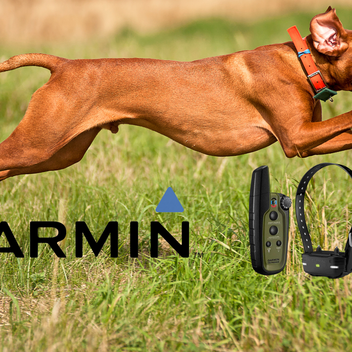 7 Amazing Benefits of the Garmin Dog E Collar You Didn't Know About!