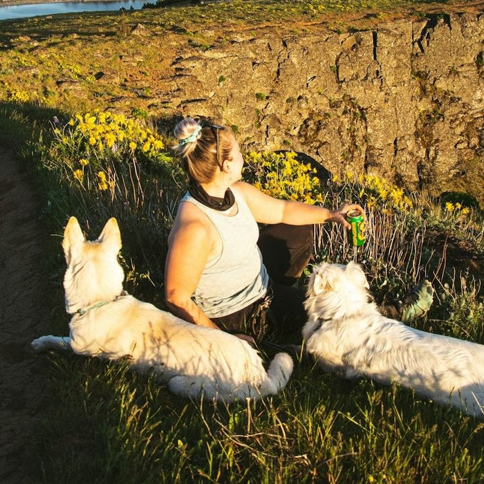 Woman With Two White Dogs On Top Of Mountain