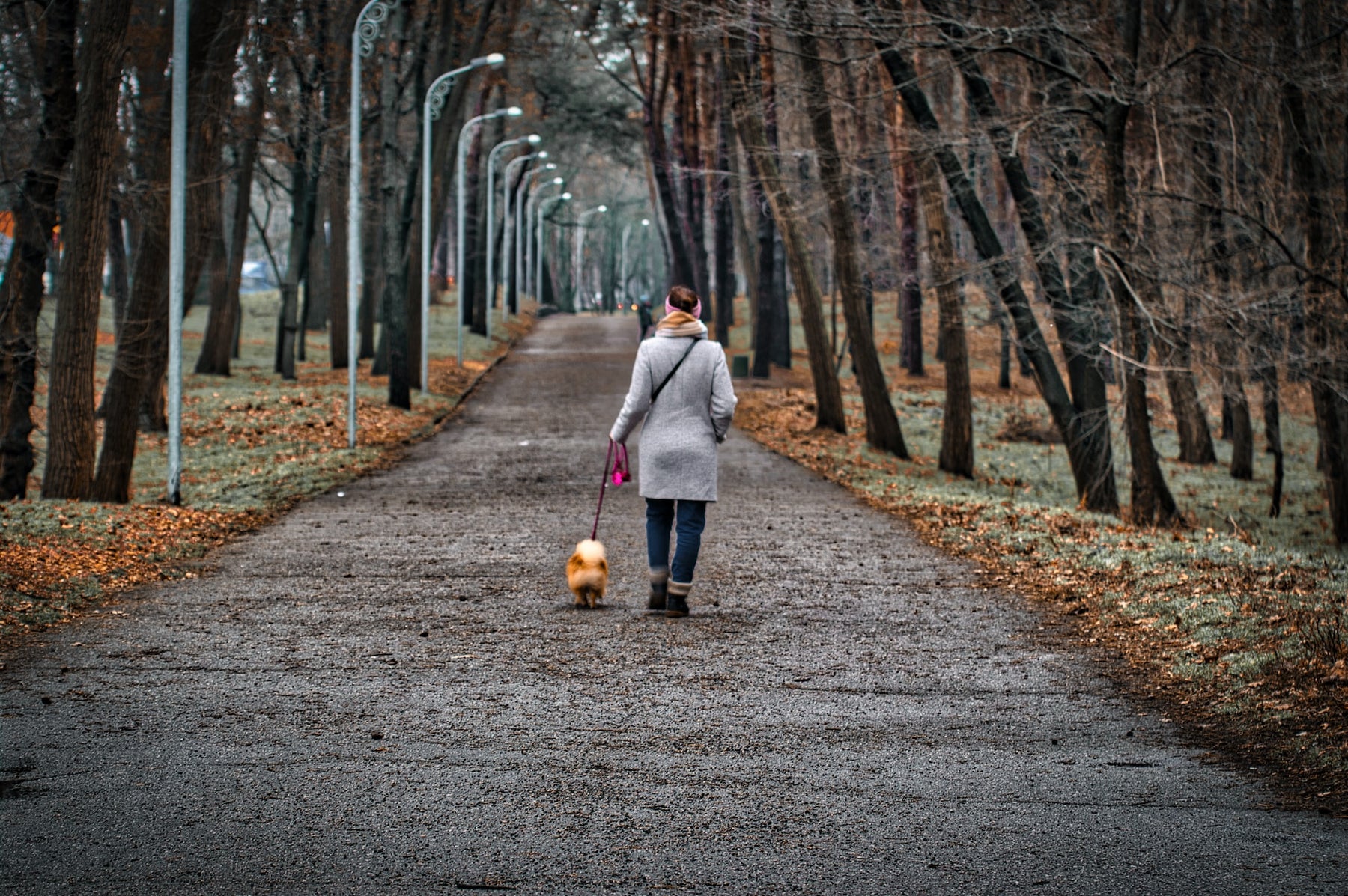 Woman And Dog Walking On A Pathway