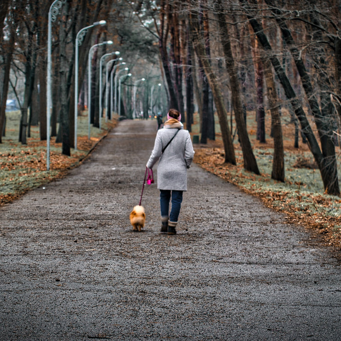 Woman And Dog Walking On A Pathway