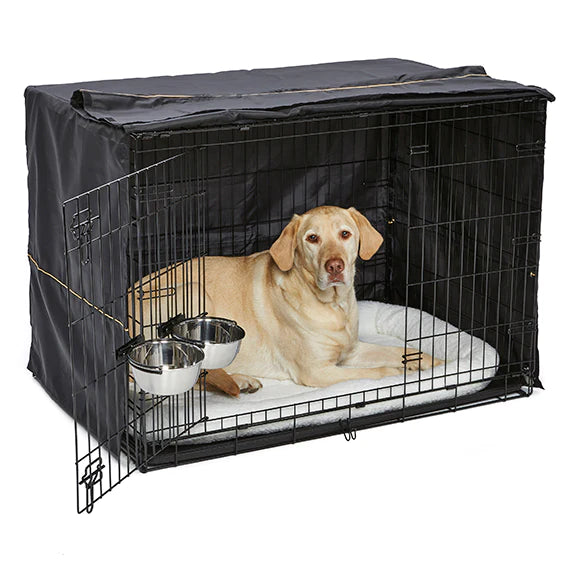 10 Reasons Why a Dog Crate is Essential for Your Furry Friend