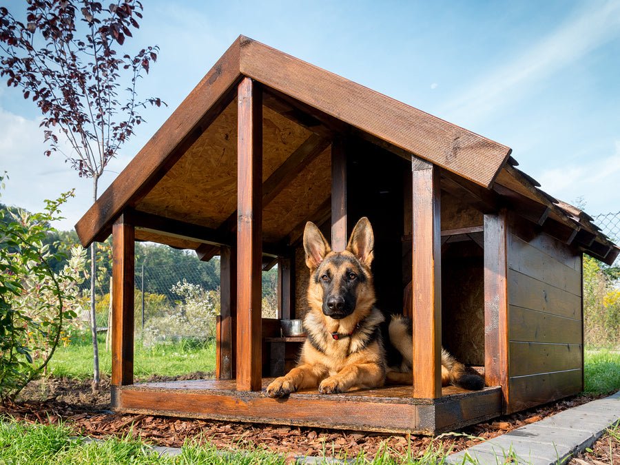 Top 5 Benefits Of Using A Dog Kennel - Puppy Fever Pro