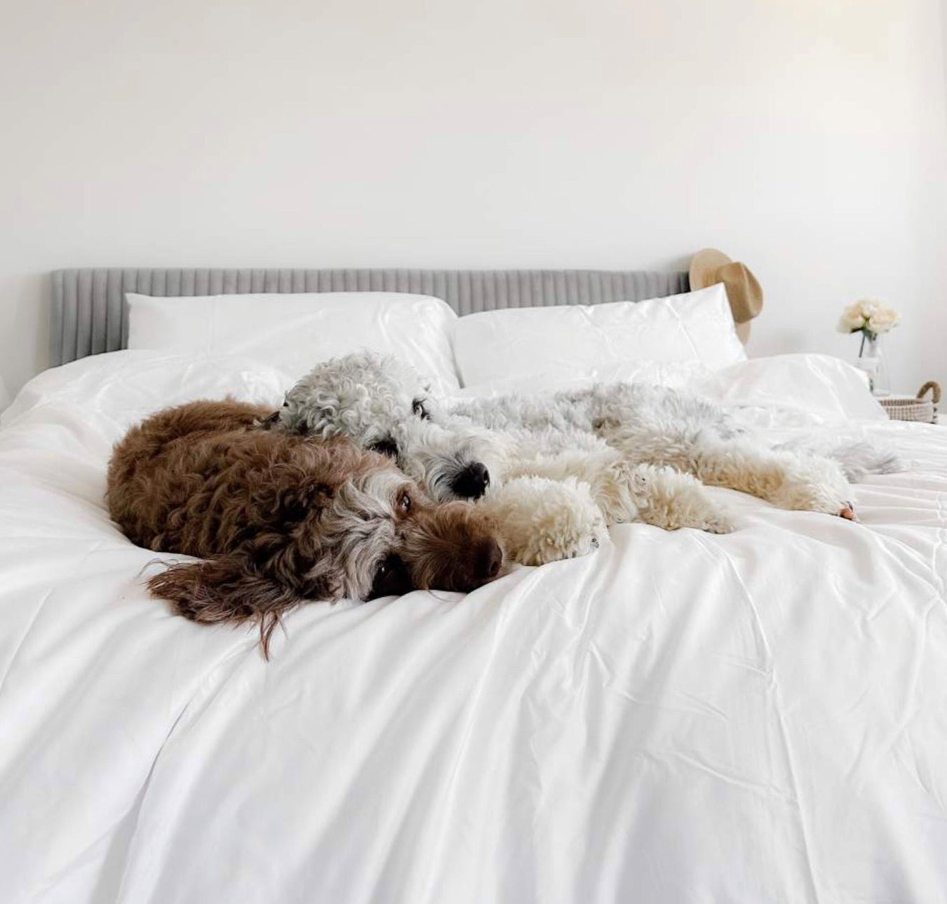 Bed Sheets for Dogs