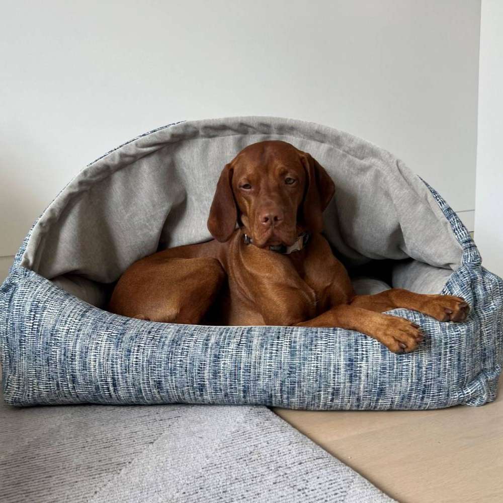 Comfortable Dog Beds And Blankets