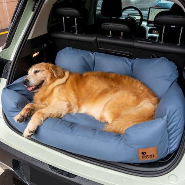 Best Dog Beds For Cars