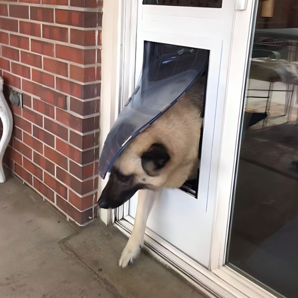 For sliding glass doors