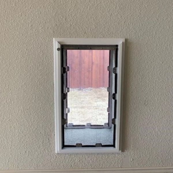 Best Dog Doors for Walls Dog Breeds & Sizes Puppy Fever Pro