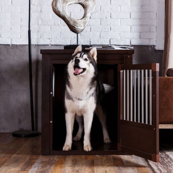 Best Dog House Crates For Pets